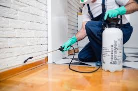 Best Termite Inspection and Treatment  in Killeen, TX